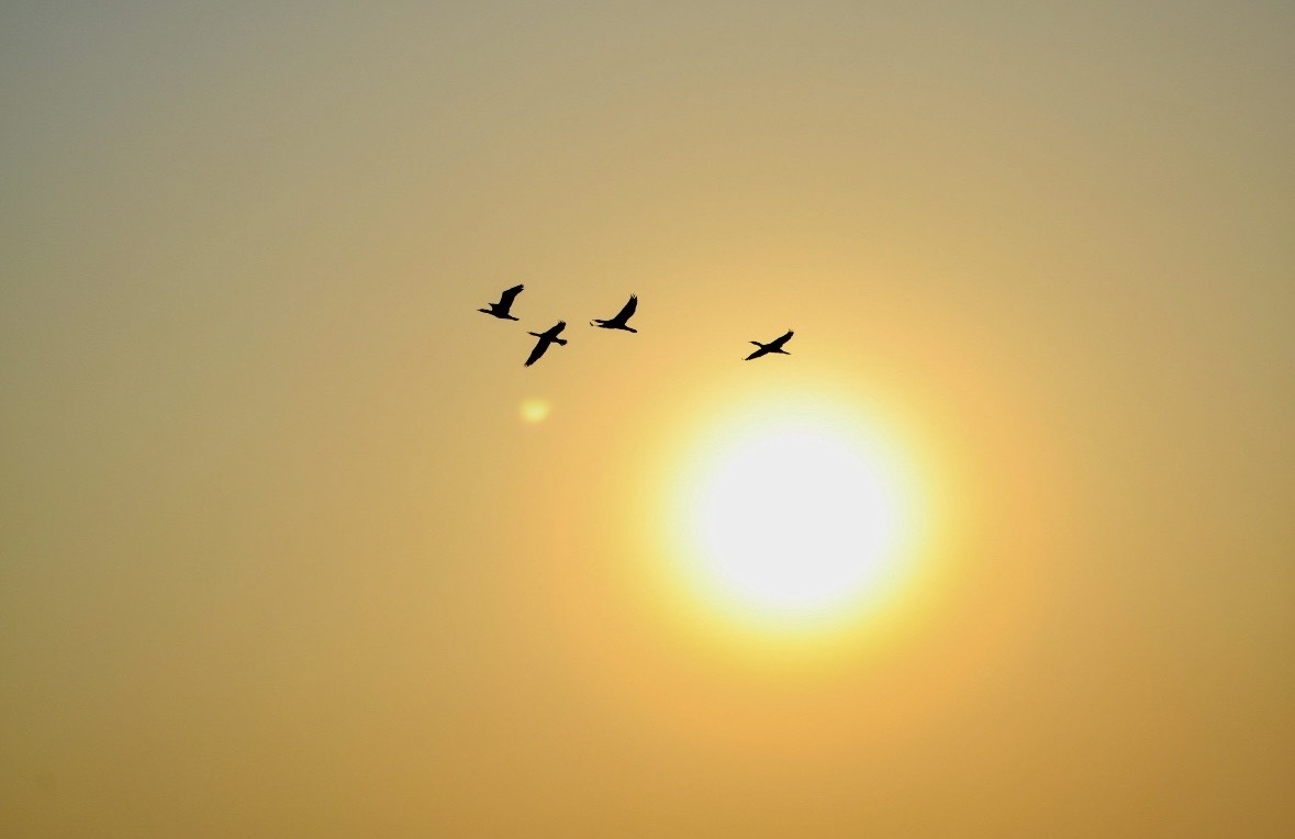 GEÇ KALMADAN UYANMAK