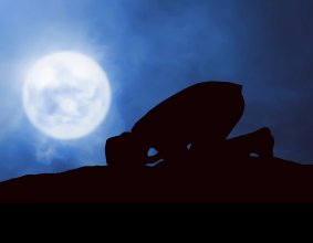 BERAT: DÖNÜŞÜN SESSİZ CESARETİ