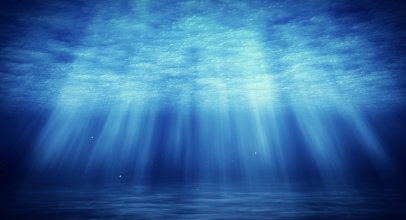 Okyanus Gibi Haysiyet, Elif Gibi Şahsiyet