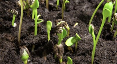 HİÇBİR ŞEY SADECE OLMAZ