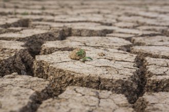 ÇATLAK TOPRAĞIN SESİ